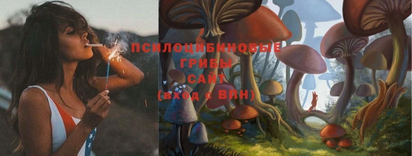 стаф Баксан