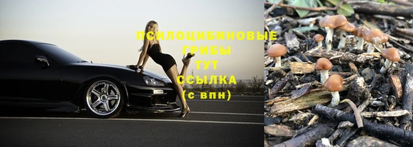 каннабис Аркадак