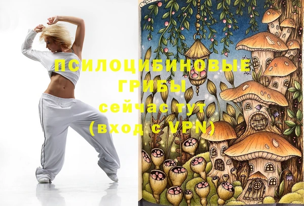 дмт Балахна