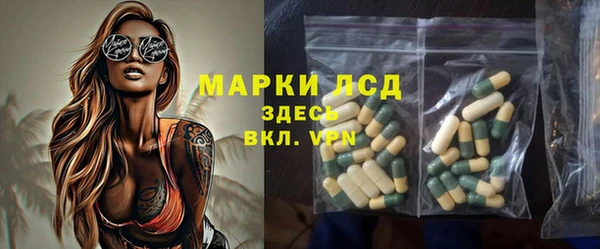 стаф Баксан