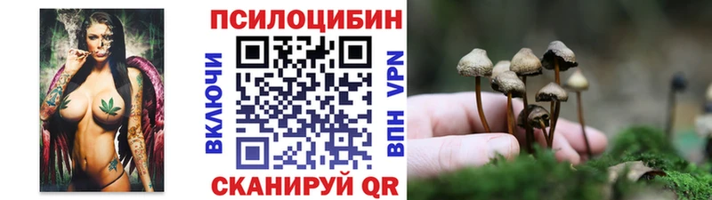 наркошоп  Пыталово  Псилоцибиновые грибы Psilocybe 